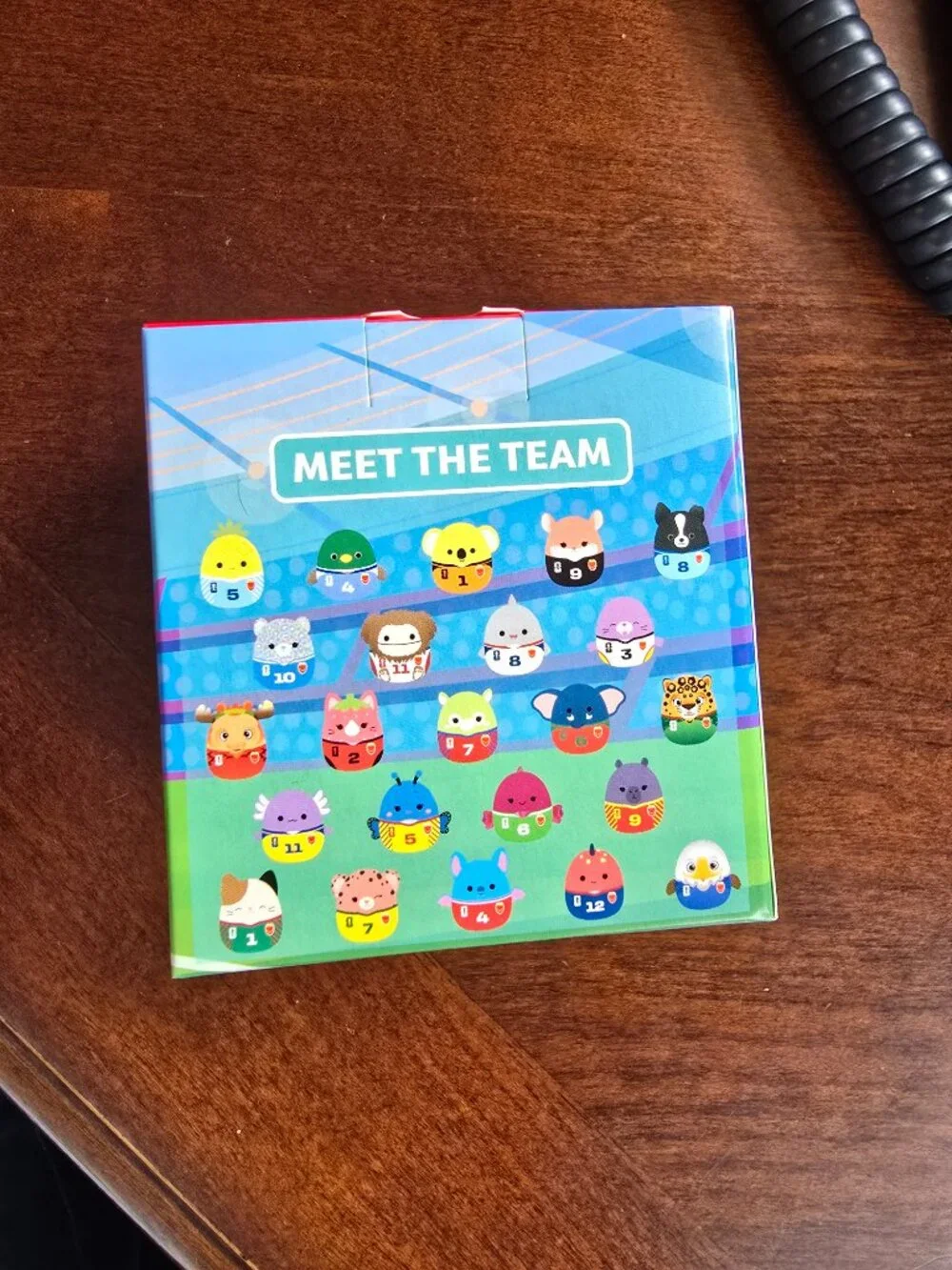 McDonald's Squishmallows FIFA World Cup 26 Collectible Box #14 Debra Capybara